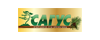 Сагус Сагус